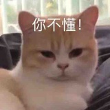 唧唧
