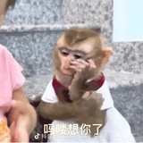 AAA辣卤批发