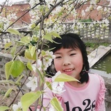蛮儿