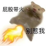Big啊papa