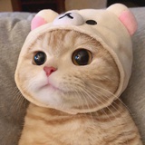 CCC鹿鹿