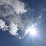 阳光灿烂