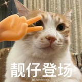 多肉葡萄🍇