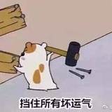 不知道取啥~