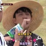 妈咪妈咪哄锦鲤