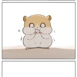 zhSany