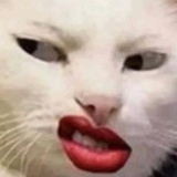 阿咧狒狒