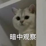 咕噜咕噜冒泡