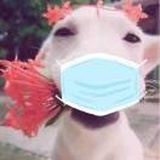 默默