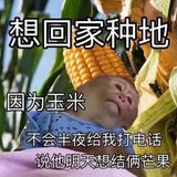 我是天才吗