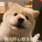 答复机（已破防