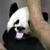 笑妖丸