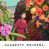 猫猫侠