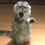 豆友212587489