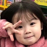 黛玉打虎