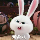 在洒满阳光的钢