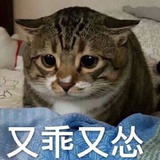 小四儿～