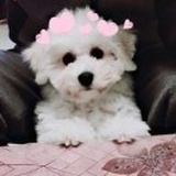 铅笔没有油