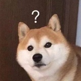阿货