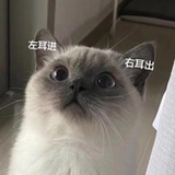 还没想好🆔