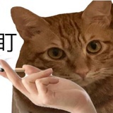 海吉拉