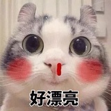 肥肥