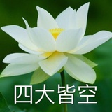 豆友212721919