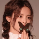 走走停停的树洞