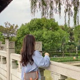 知麻酱