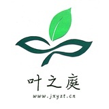 叶之庭
