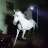 1437