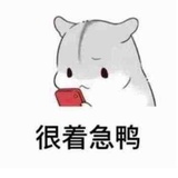 酷酷的西瓜