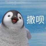 豆友212856965