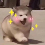 磕个P