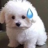 查理布朗的狗勾