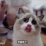 熬夜催人老