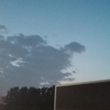 七七Ann