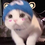 醉里挑灯