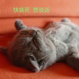 种种花吃吃瓜