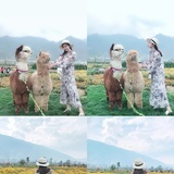 小妮宁