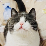 人生如戏