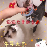 国王长了驴耳朵