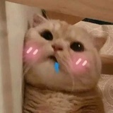 阿萨谢尔