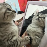 进来逛逛看看