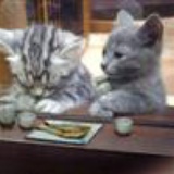 逆名の殇