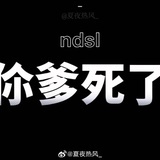 九狸