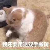 萌混过关
