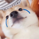 Gloria