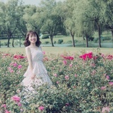 夏未央