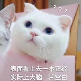 大肠